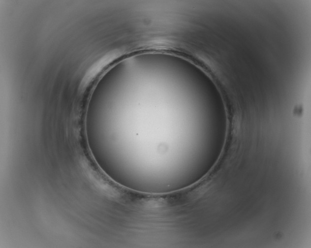 X0000112961410200909031010