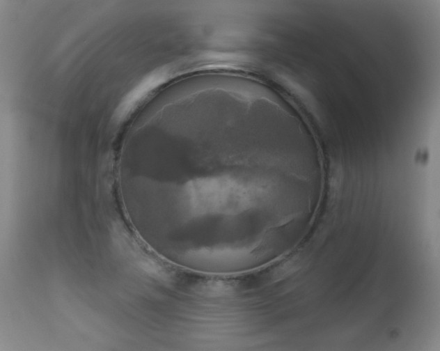 X0000112961411200909031010