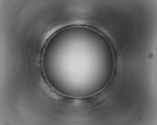 X0000112961412200909031010