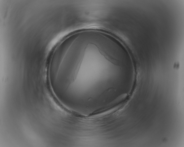 X0000112961414200909031010