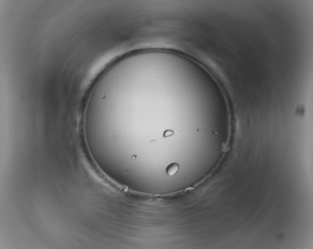 X0000112961416200909031010