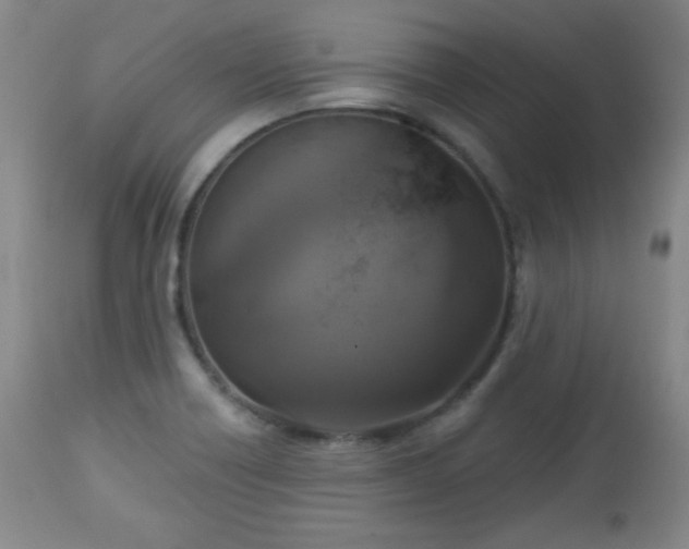 X0000112961418200909031010