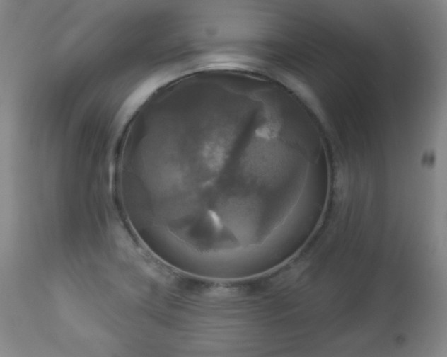 X0000112961419200909031010