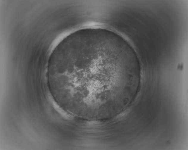 X0000112961421200909031010