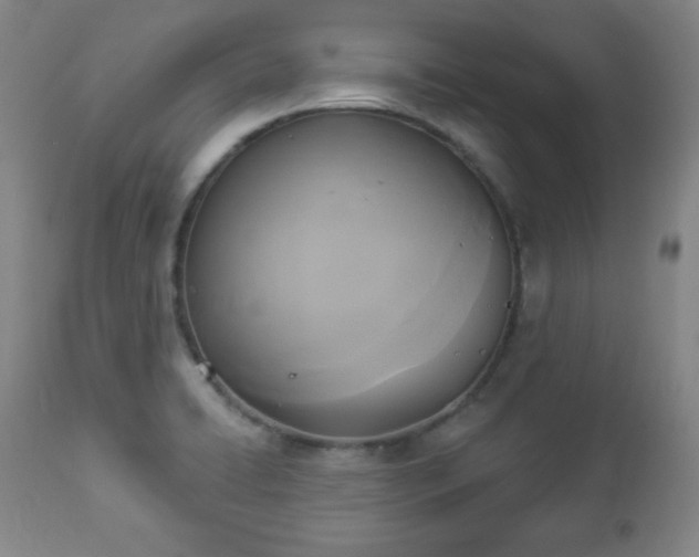 X0000112961422200909031010