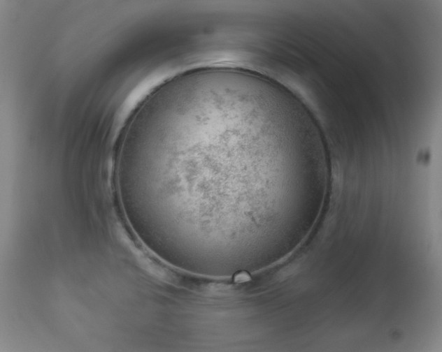 X0000112961424200909031010