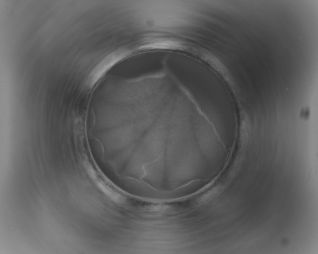 X0000112961425200909031010