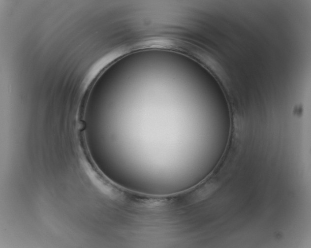 X0000112961426200909031010