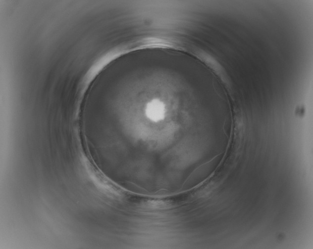 X0000112961427200909031010