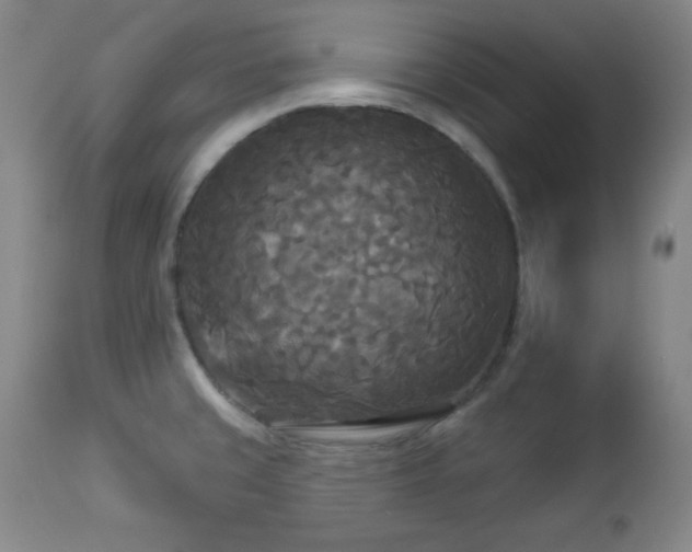 X0000112961429200909031011