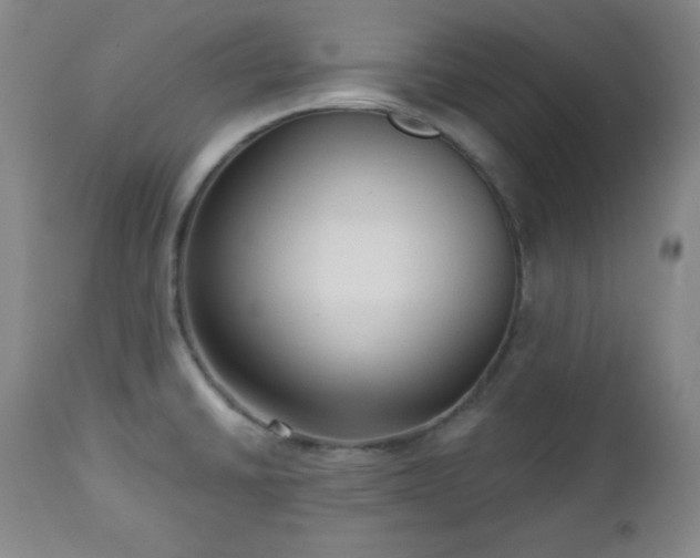 X0000112961430200909031011