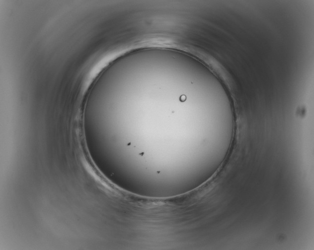 X0000112961432200909031011