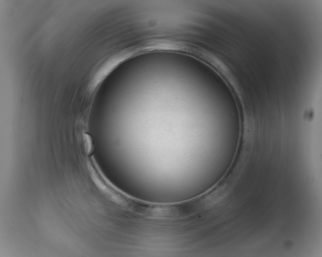 X0000112961433200909031011