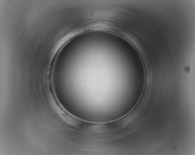 X0000112961434200909031011