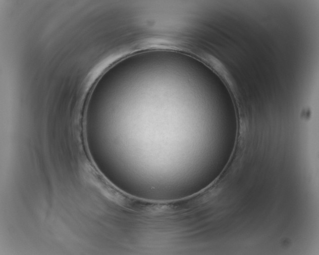 X0000112961435200909031011