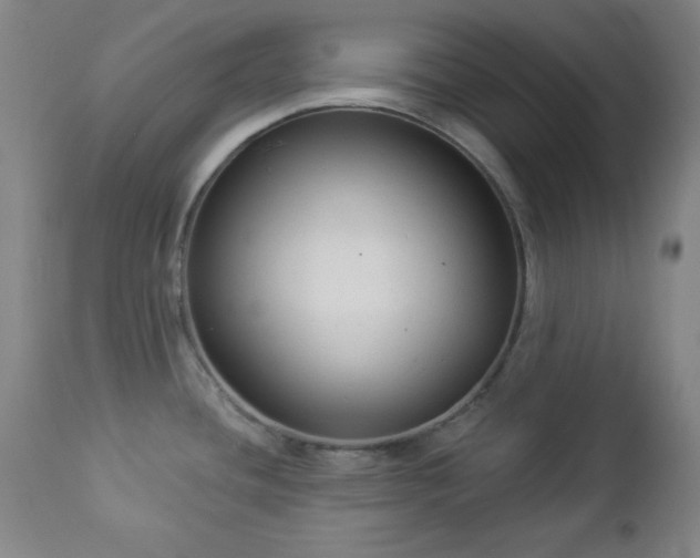 X0000112961436200909031011