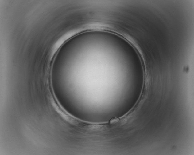 X0000112961437200909031011