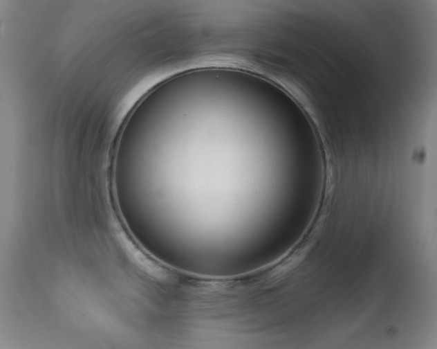 X0000112961438200909031011