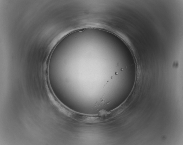 X0000112961439200909031011