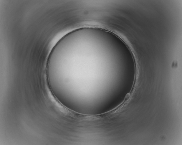 X0000112961440200909031011