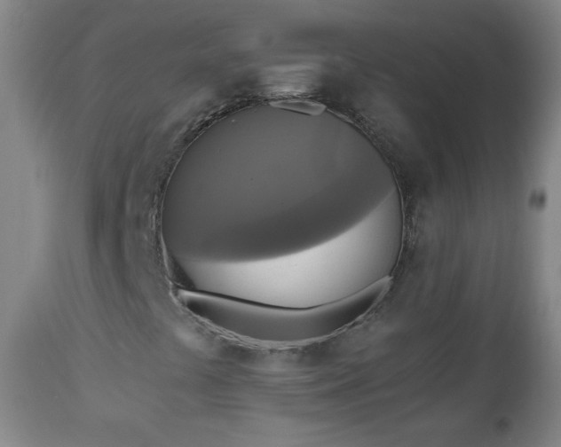 X0000112961441200909031010