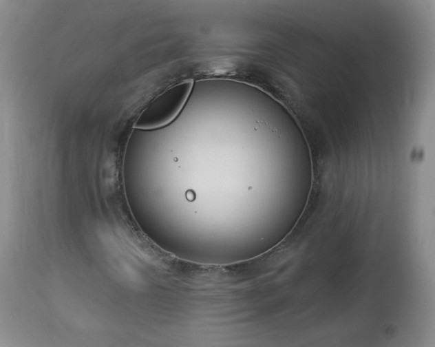 X0000112961442200909031010