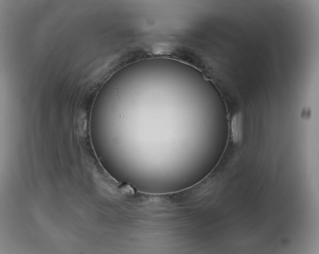 X0000112961443200909031010