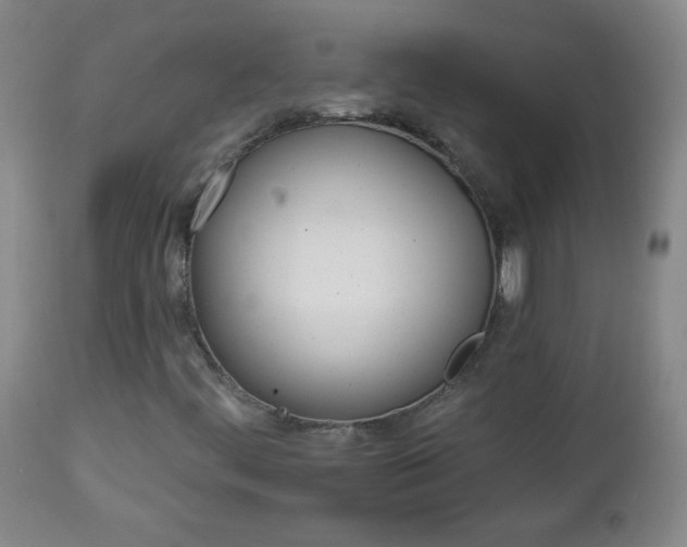 X0000112961444200909031010