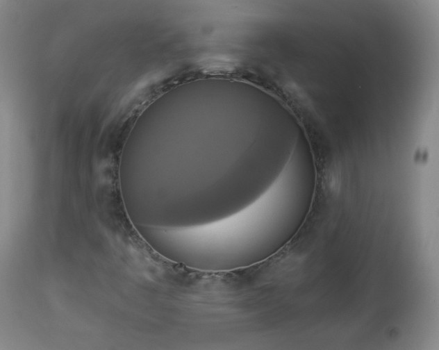 X0000112961445200909031010