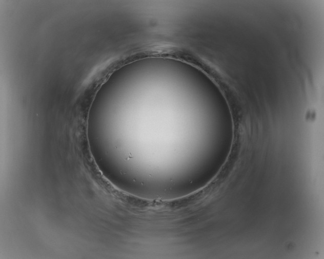 X0000112961447200909031010