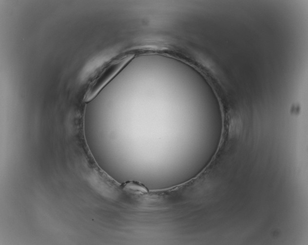 X0000112961448200909031010