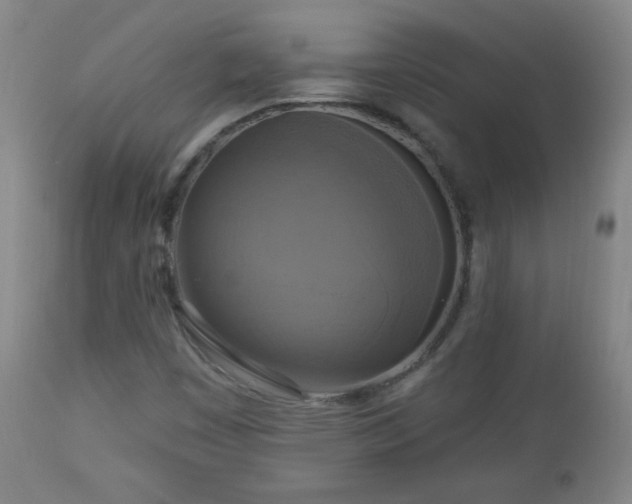 X0000112961449200909031010