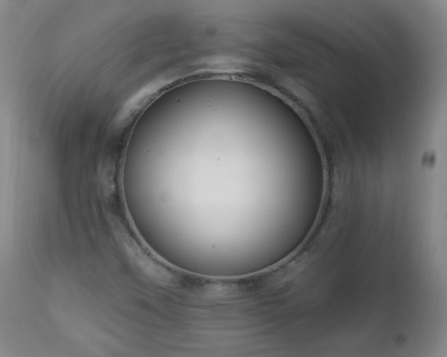 X0000112961451200909031010