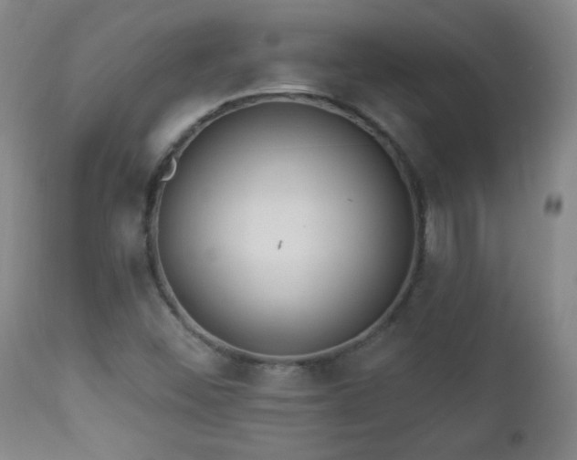 X0000112961452200909031010