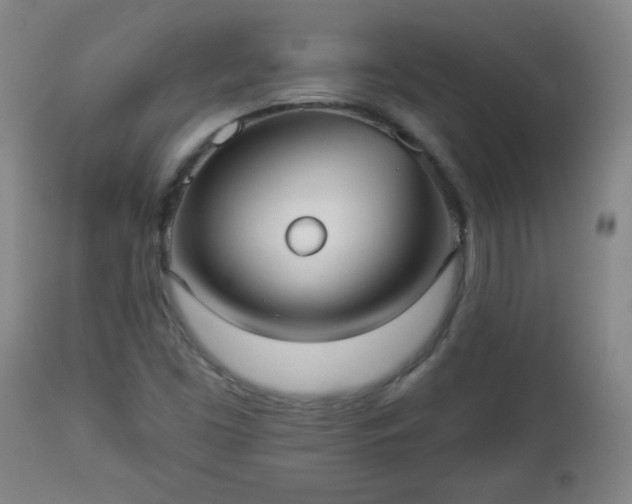 X0000112961453200909031010