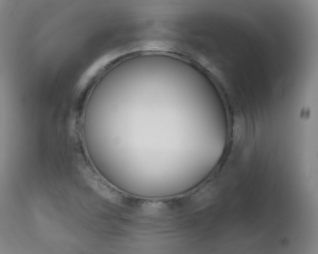 X0000112961454200909031010