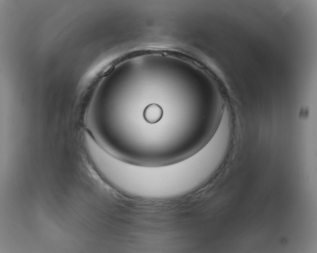 X0000112961456200909031010