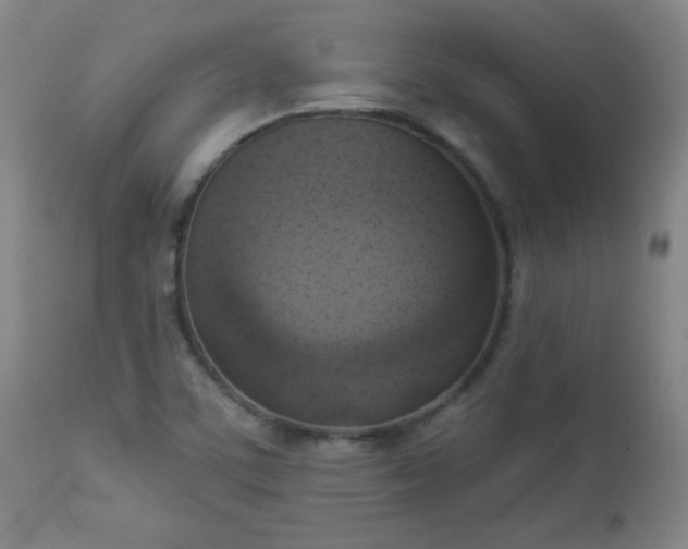 X0000112961459200909031010