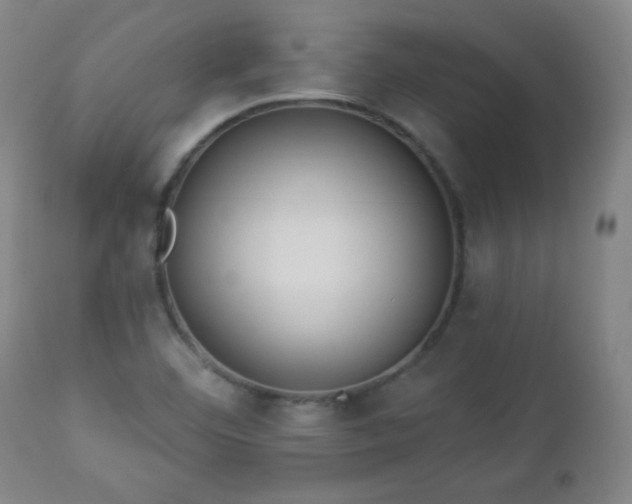 X0000112961460200909031010