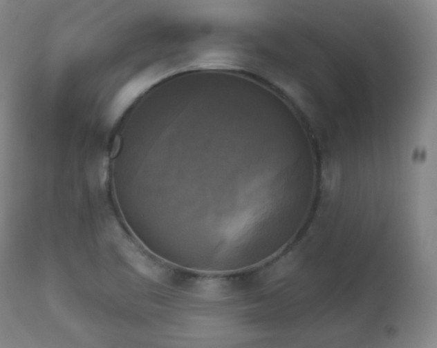 X0000112961461200909031010