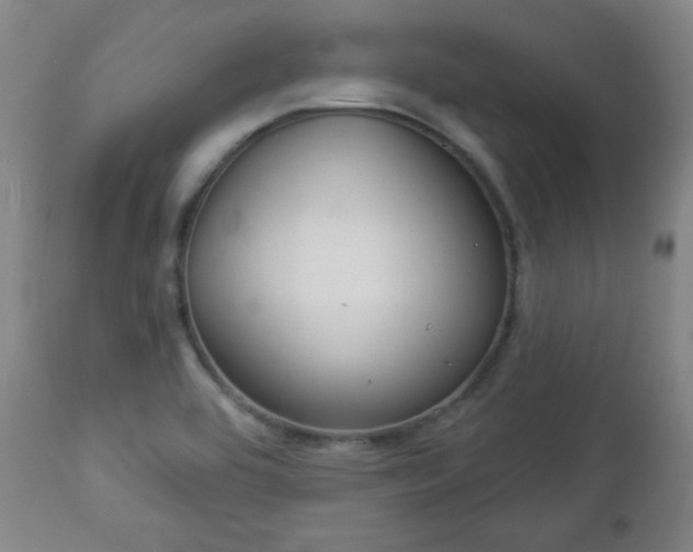 X0000112961464200909031010