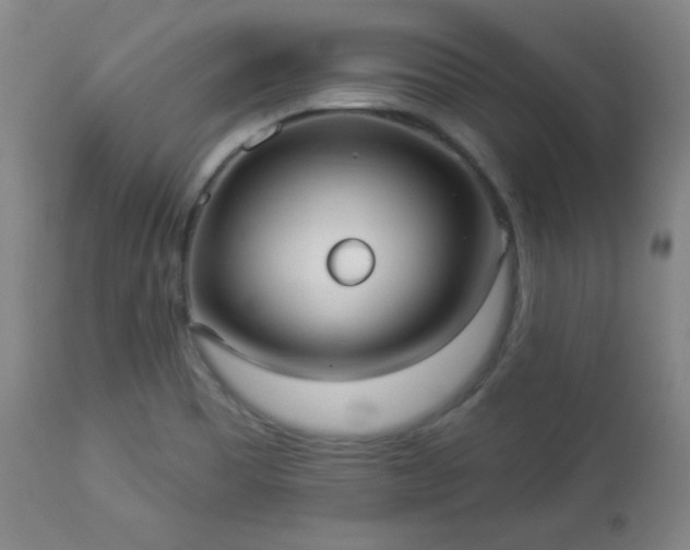 X0000112961465200909031010