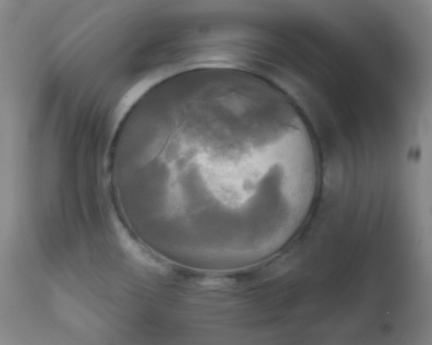 X0000112961466200909031010