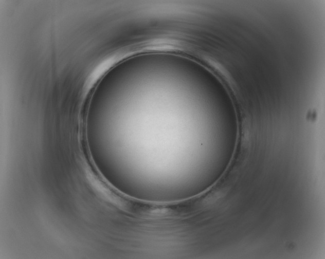 X0000112961467200909031010