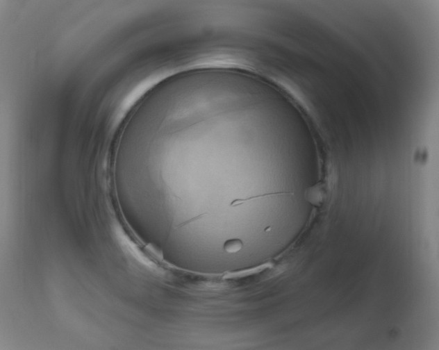 X0000112961468200909031010