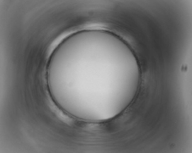 X0000112961470200909031010