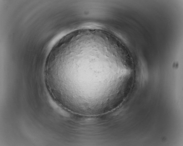 X0000112961471200909031010