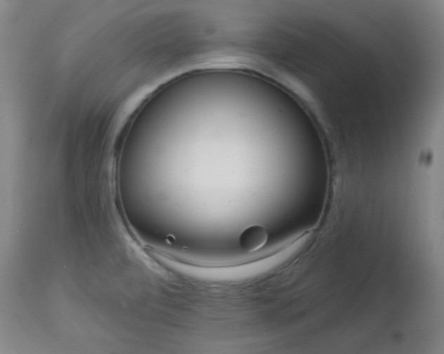 X0000112961472200909031010