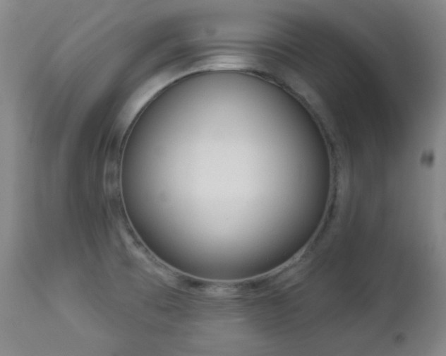 X0000112961473200909031010