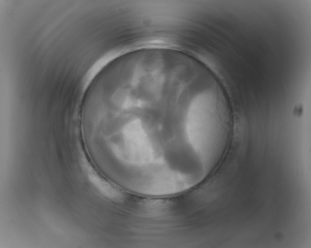 X0000112961474200909031010